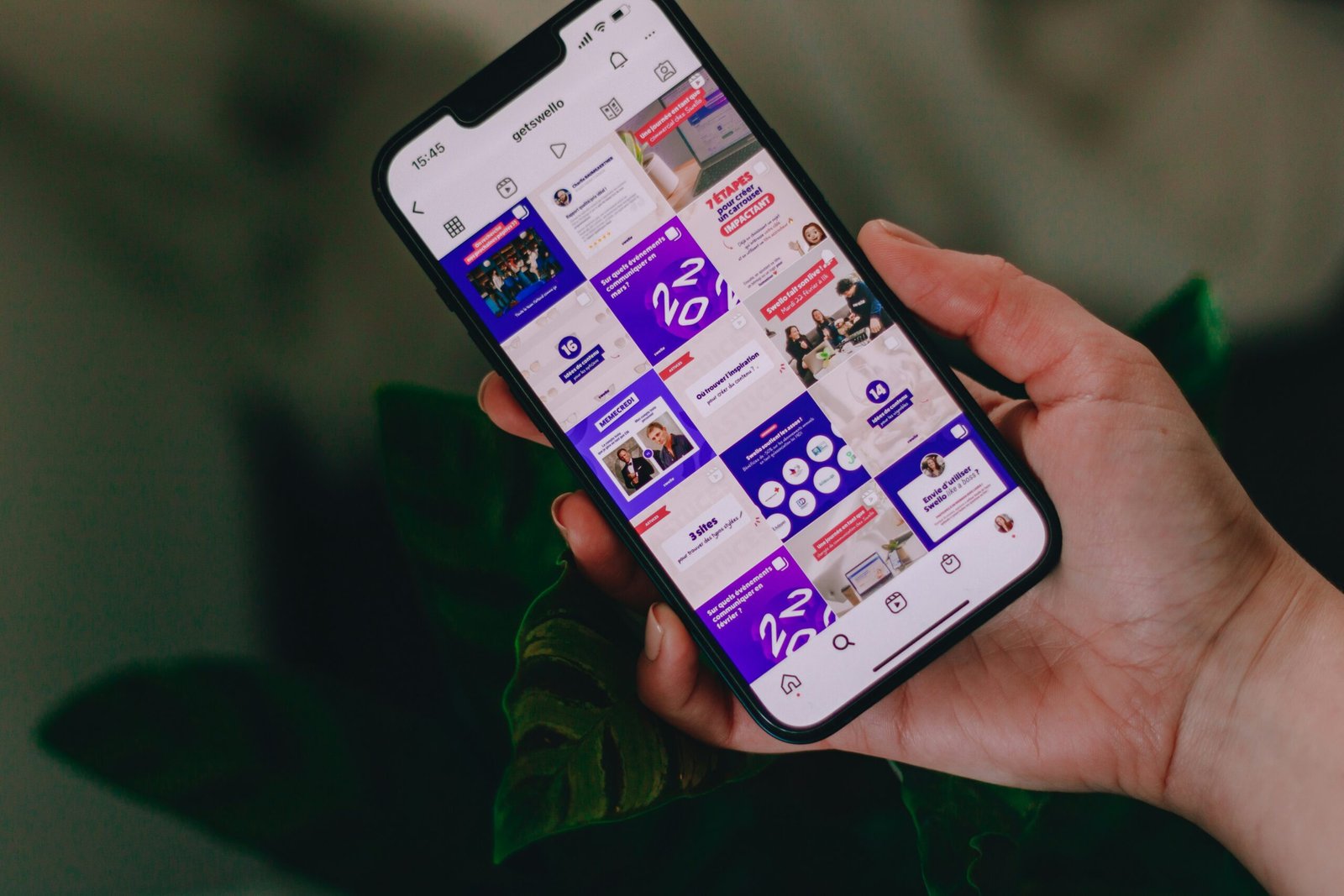 Website dan Instagram